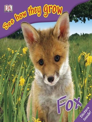 cover image of Fox